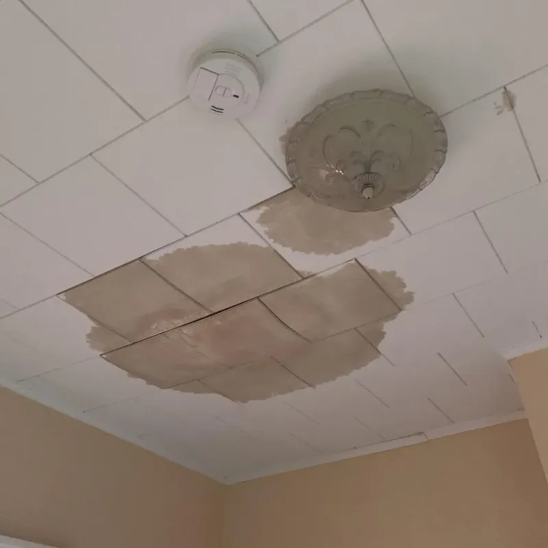 Ceiling Water Damage Repair in Edgerton, KS