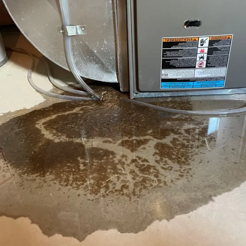 Pipe Burst and Leak Restoration in Edgerton, KS