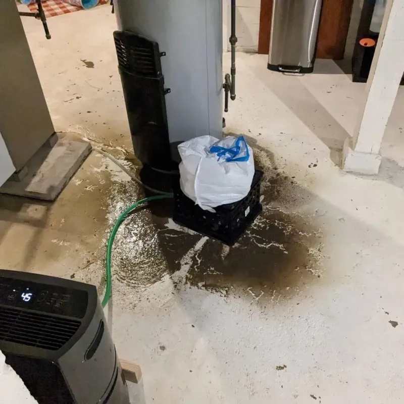 Sewage Backup Cleanup Service in Edgerton, KS